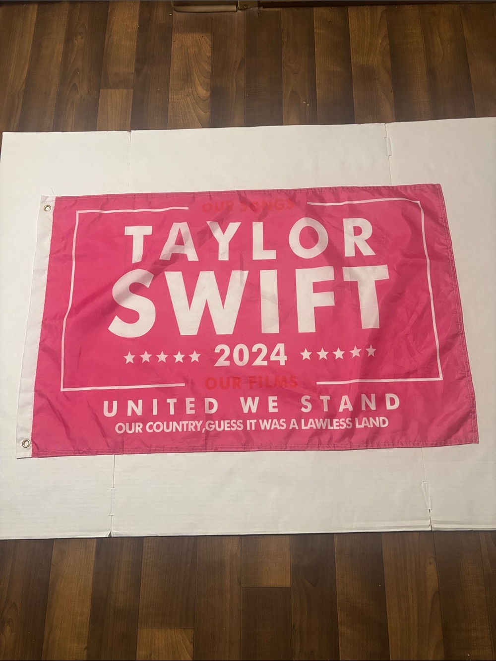 Taylor Swift Pink Rally Novelty Flag 2024 - United We Stand 36x23 Dorm Tapestry